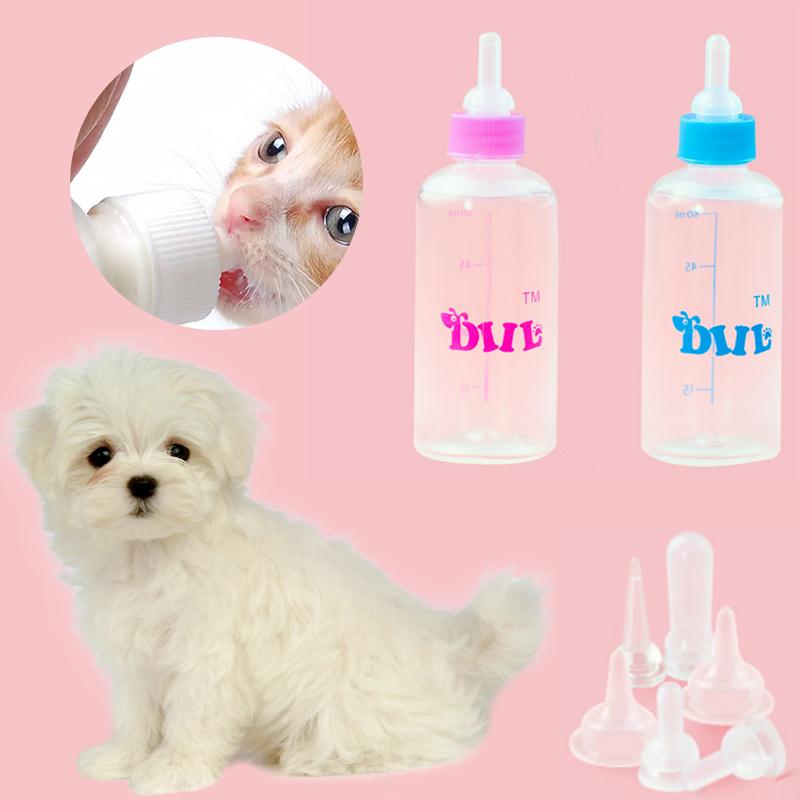 Baby Pet Animals Feeding Bottle 6Pcs/1Set Suckling Dog Kitten Supplies Puppy Pets Whelping Kit Set Cat