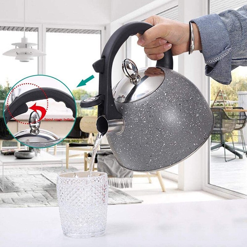 LBER 3L Whistle Kettle,Induction Cooker Whistle Household Gas Kettle,Stainless Steel Teapot with Heat Proof Handle