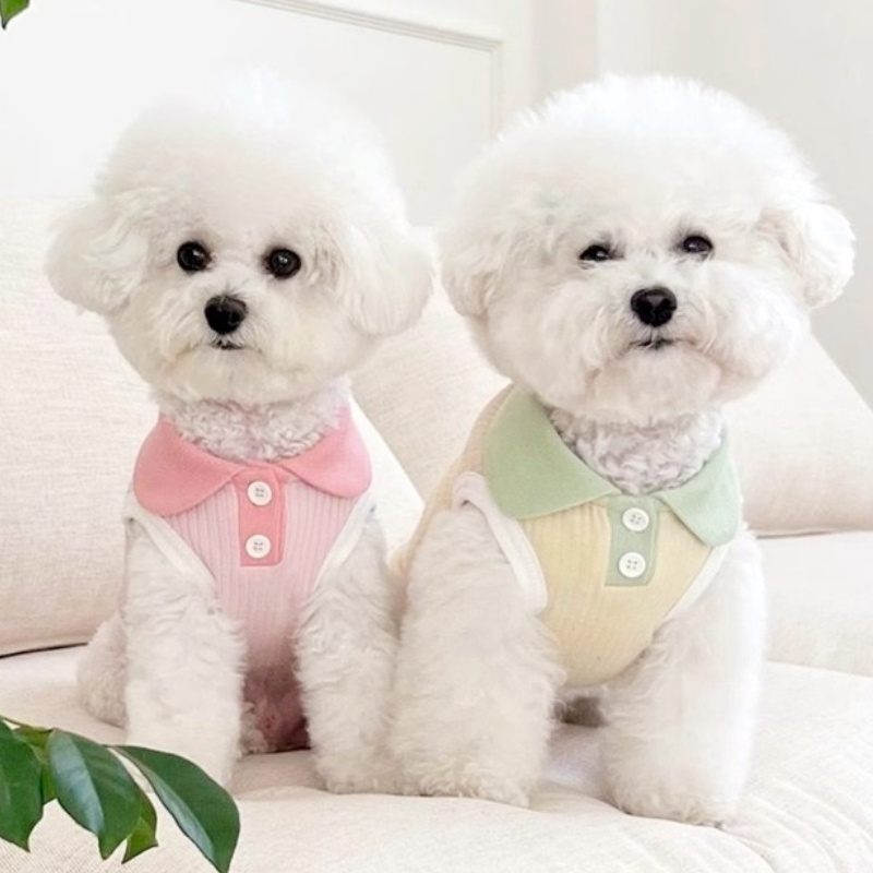 Zomer Hond Poloshirt Ademende Hondenkleding Mode Puppy Vest Leuke Effen Kat Shirt Zachte Huisdier Kostuums Chihuahua Hondenkleding