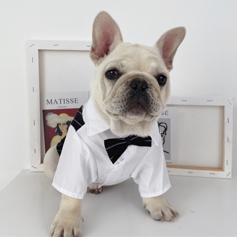 Gentleman Dog Clothes Wedding Suit Formal Shirt For Small Dogs Bowtie Tuxedo Pet Outfit Costume For Cats Spring And Summer Suits