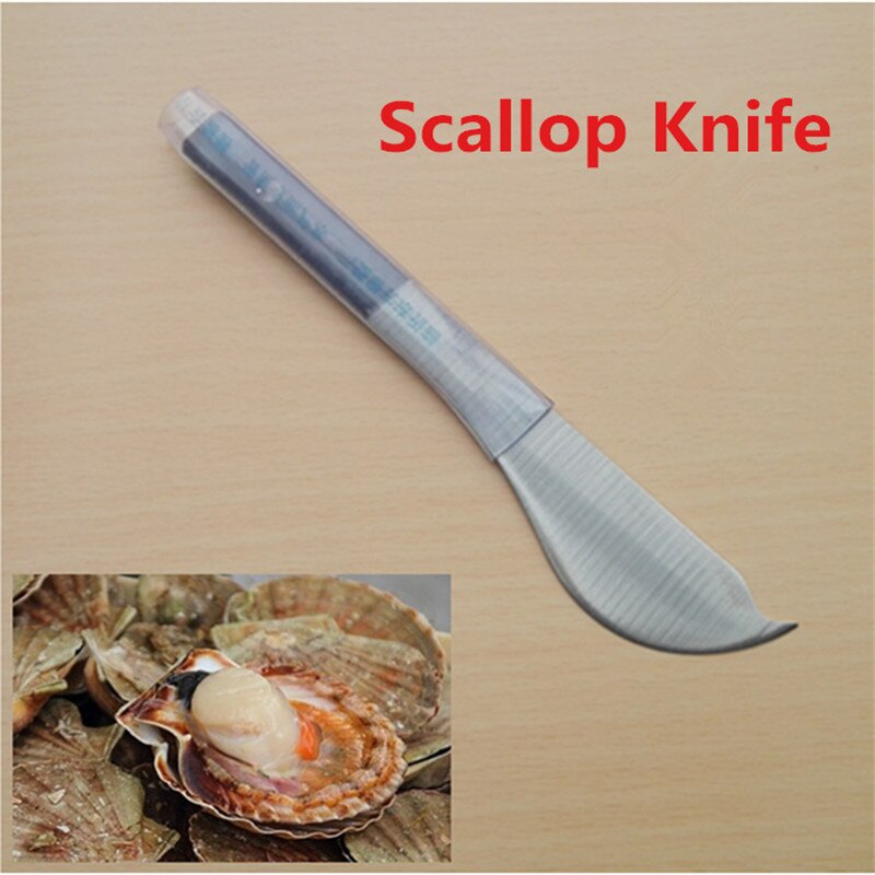 Kammusling kniv skaldyr skaldyr plukke skarp kniv skal musling åbning østers kniv kort kniv fisk og skaldyr kniv køkken gadgets