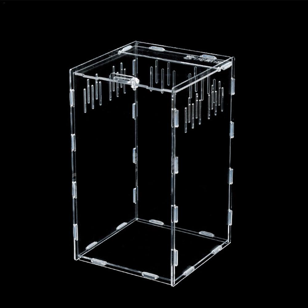 Transparante reptielentank insecten spinnen schildpad hagedis acryl kweekbak vivariumdeksel reptiel huisdierproduct terrarium: 15 15 25cm