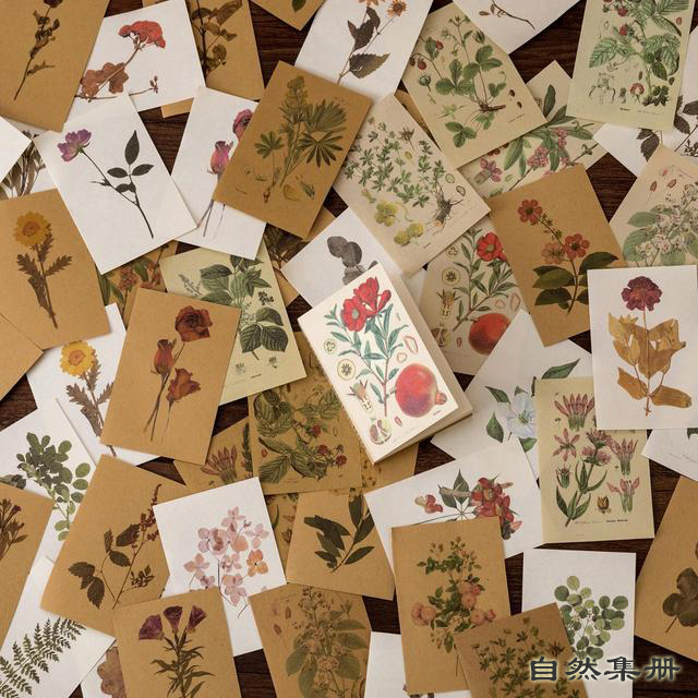 80 Sheets Vintage Scrapbook Material paper Set Decorative collage material Background paper For DIY Scrapbooking Diary Album Art: 8