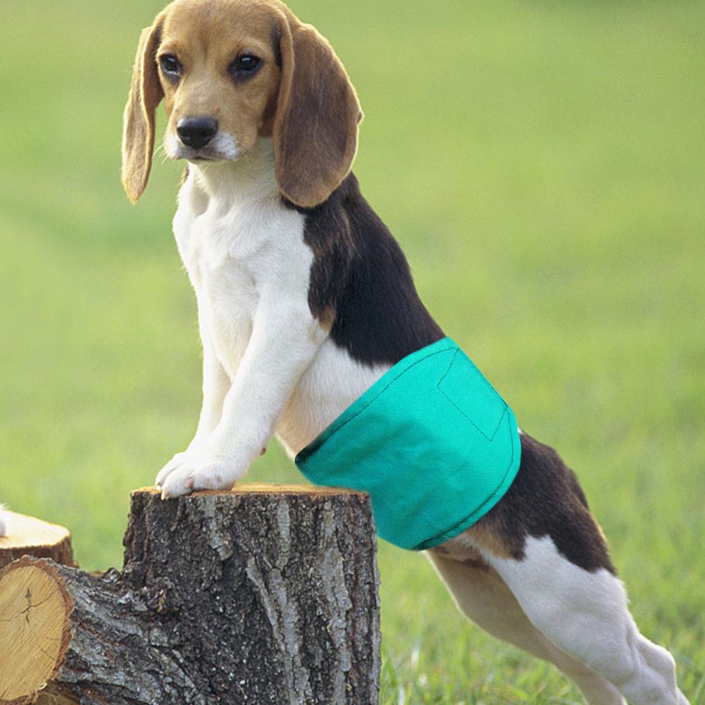 Dog Physiological Pants Nursing Nappy Diapers For Male Dogs Belly Band Wrap Incontinence Sanitary Binding Pants Washable Nappies