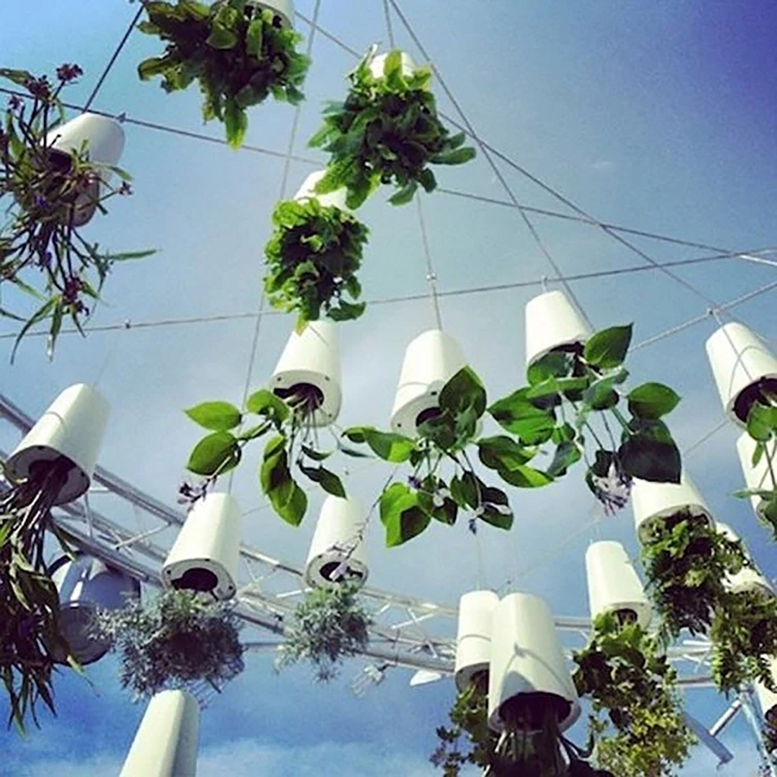 F# Indoor Sky Upside Down Recycled Hanging Planter Pot Perforation-free Unique Upside Down Sky Planting Pot