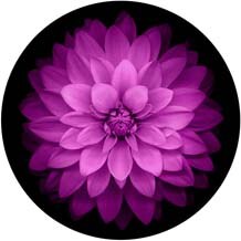 Попсокет für Handys Ring Runde knallen Telefon Halfter Finger tasche buchse Schreibtisch Ausbau Stehen Griff: wählen 7