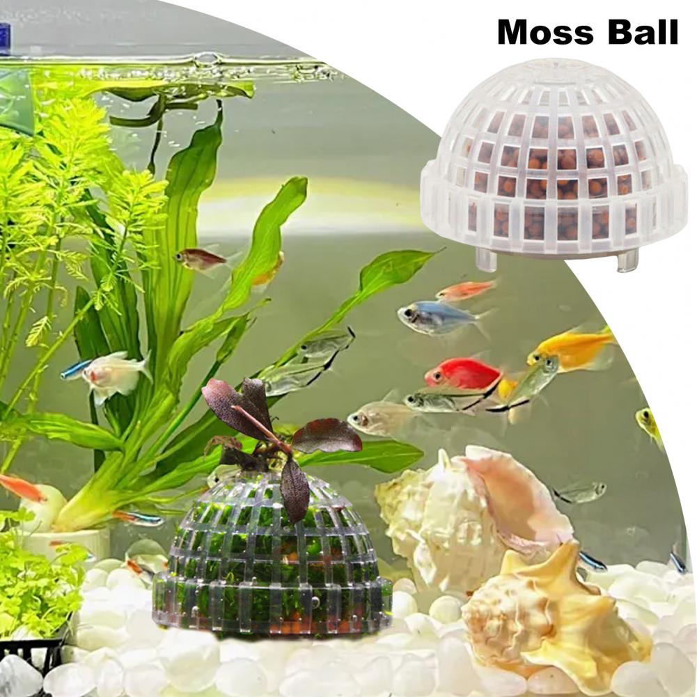 Zoetwateraquarium Mosbal Aquarium Mosbalhouder met filtersteen voor garnalentank Levende planten voor zoetwater voor mos