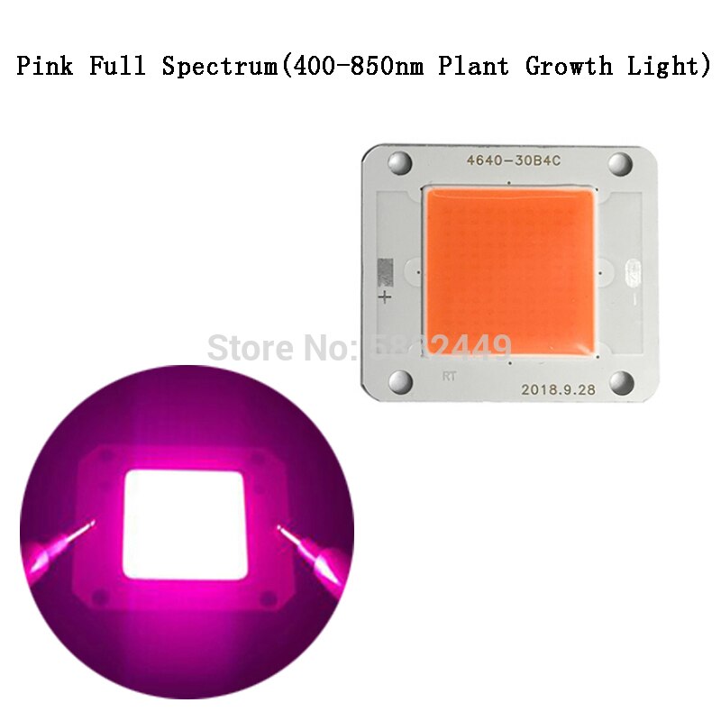 32V 12V 50W 80W White Warm Cold Full Spectrum COB LED lamp Flip Chip Light for Spotlight Floodlight DIY: Pink Full Spectrum / 32V 50W