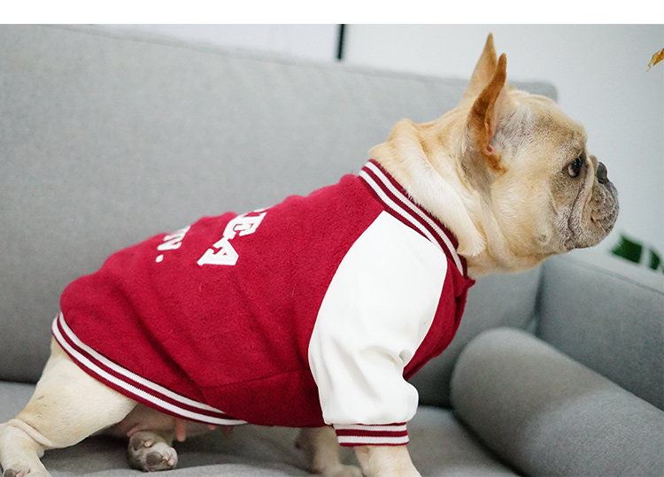 Korea Uni Dog Sweater, Yonsei Uni Dog Vest, French Bulldog Vest, English Bulldog Vest, Dog Clothes