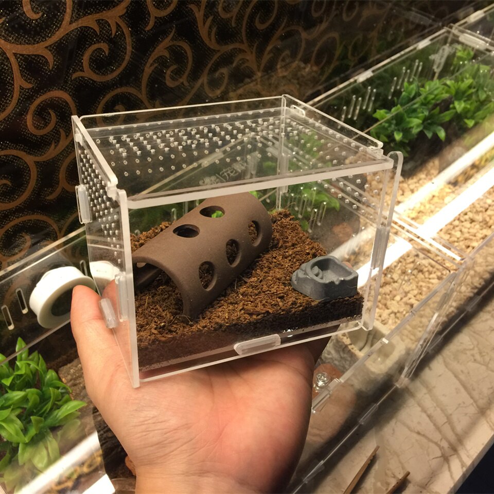 Acrylic Insect Cage with Accessories Spider Lizard Reptile Breeding Box Reptile Terrariums Reptile Home Box Gecko Tortoise House