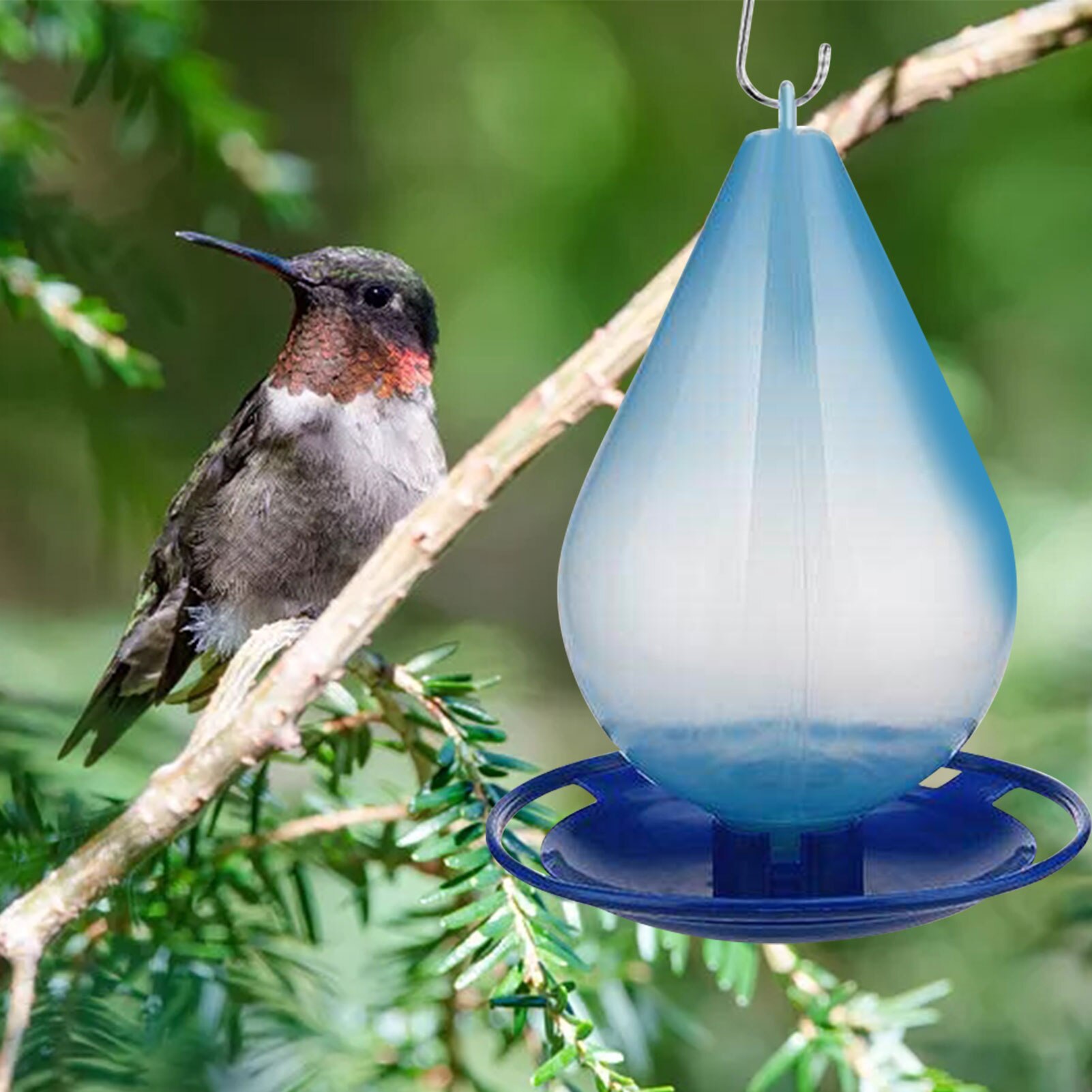 Hummingbird Water Feeder Lazy Outdoor Hanging Hummingbird Automatic Water Feeder