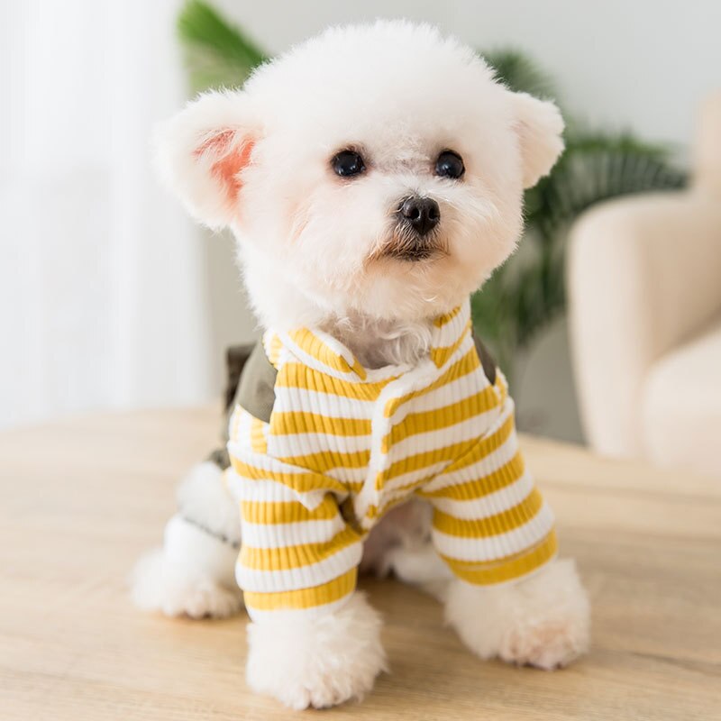 Oligeixx Winter-Overall Für Kleine Hunde – Warm, Wasserdicht, Reflektierend, Mit Reißverschluss, Für Jungen/Mädchen Hunde
