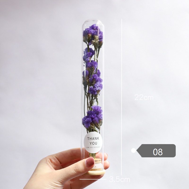 Dried Flower Glass Test Tube Decorations Family Living Room Study Specimens Ornaments: 08
