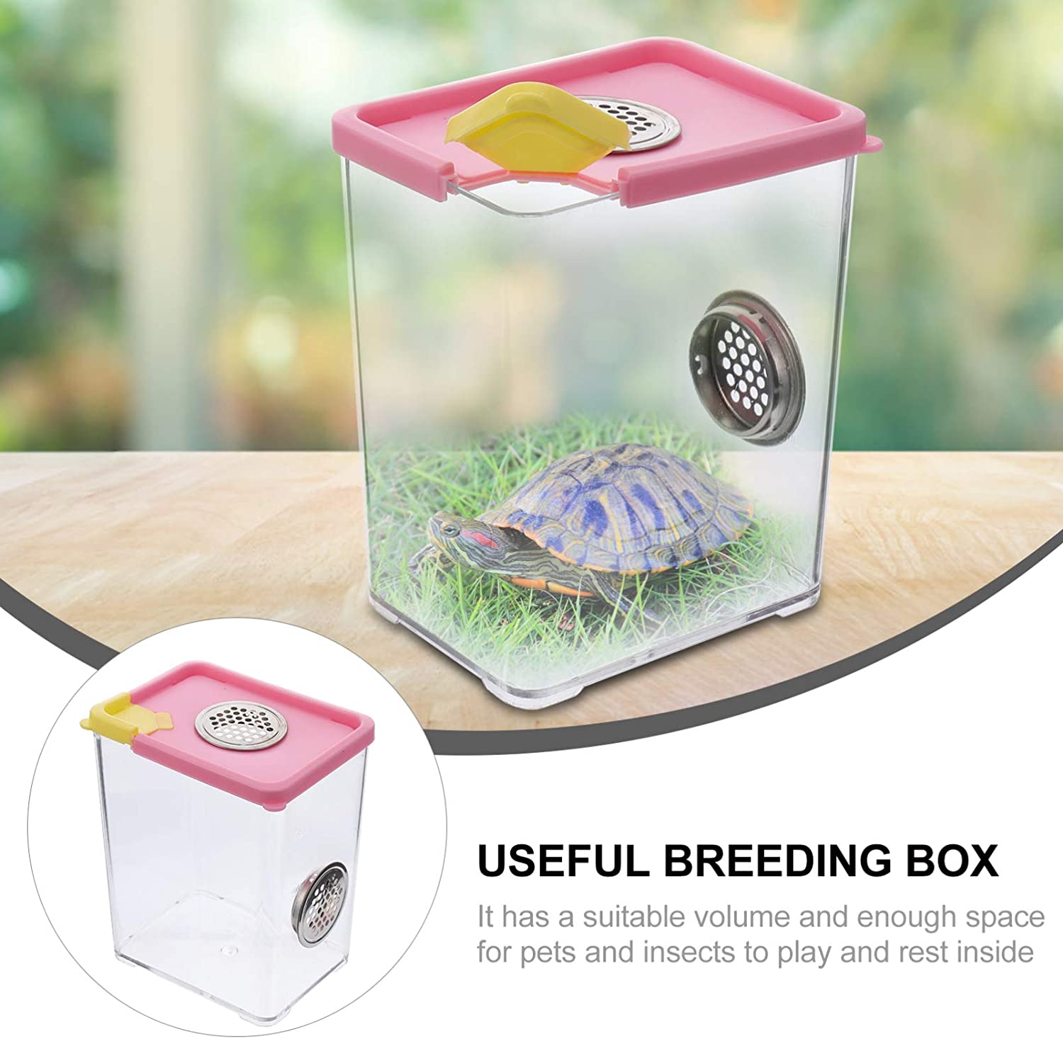 Breeding Box Plastic Reptile Terrarium Acrylic Clear Feeding Container Climbing Pet Box for Invertebrates Insect