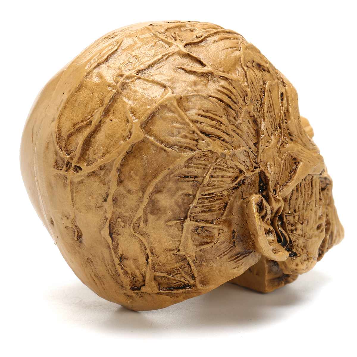 Sketch Resin Craft Skull Head Model Carving Halloween Party Decoration Skull Sculpture Ornaments Home Decoration Accessories