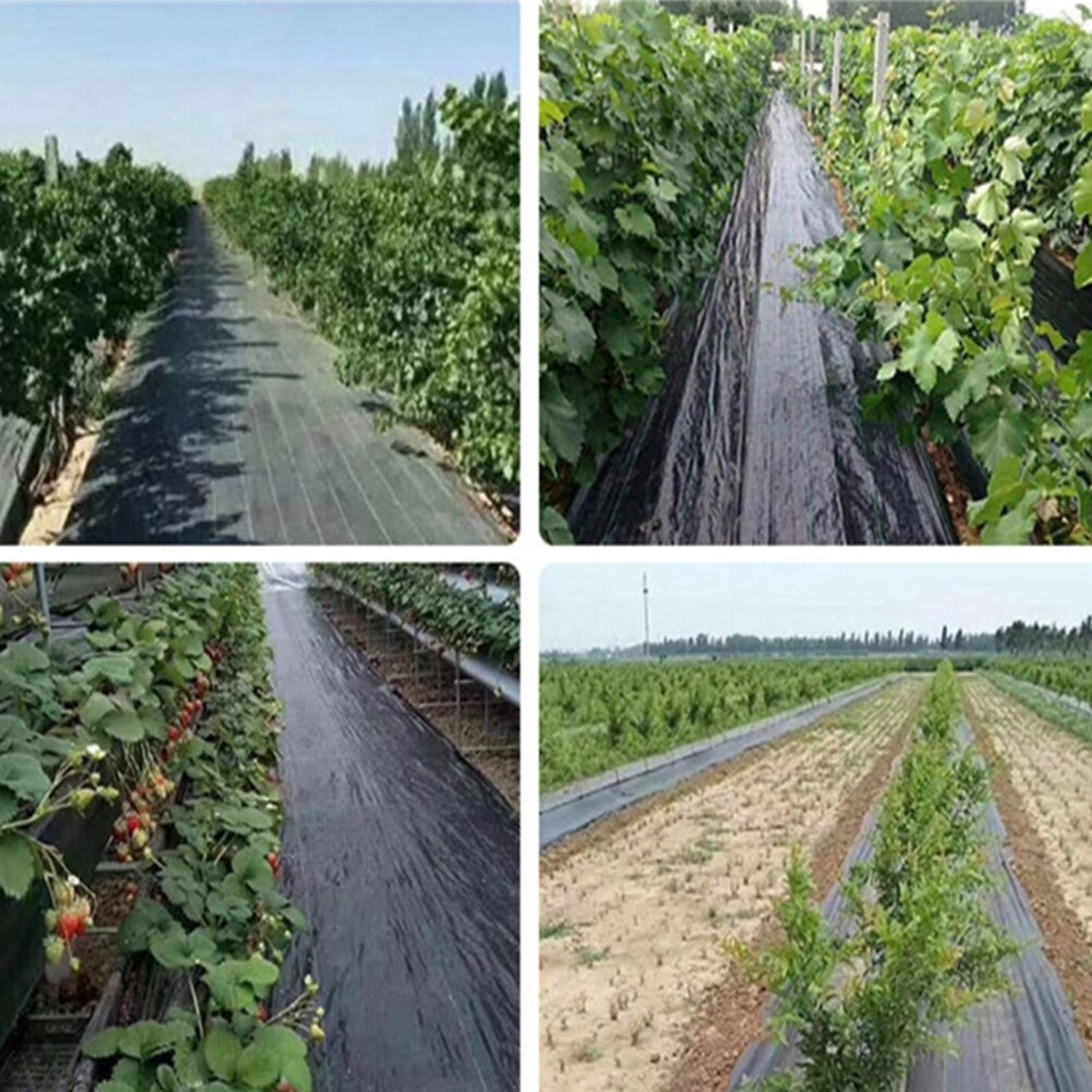 1-3m Agricultural Anti Grass Cloth Black Plastic Mulch Film Thickness Garden Weeding Control Fabric Degradable Weeding Cloth