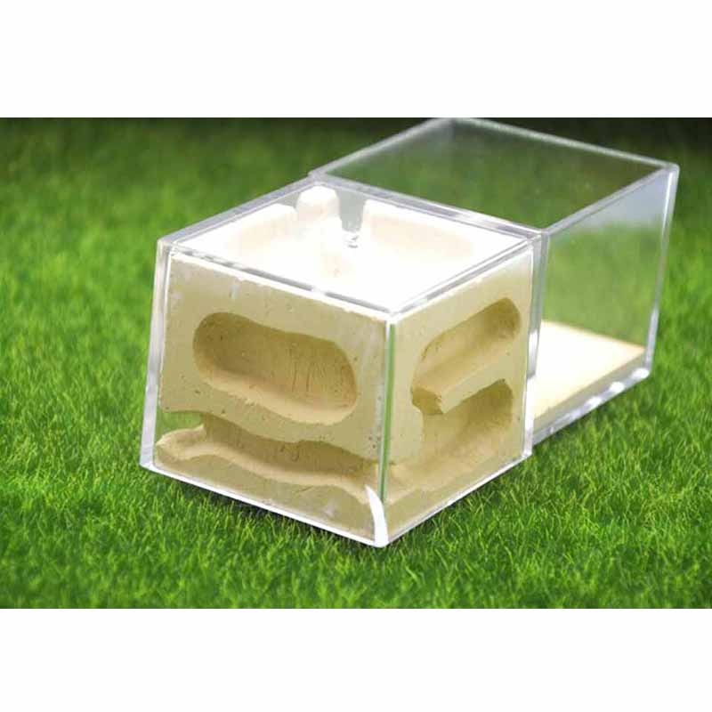 Nowy projekt akrylowe gniazdo gipsowe stereofoniczny mrówki gospodarstwo domowe hodowla owadów gniazdo domowe zwierzę warsztat Terrarium dla gadów