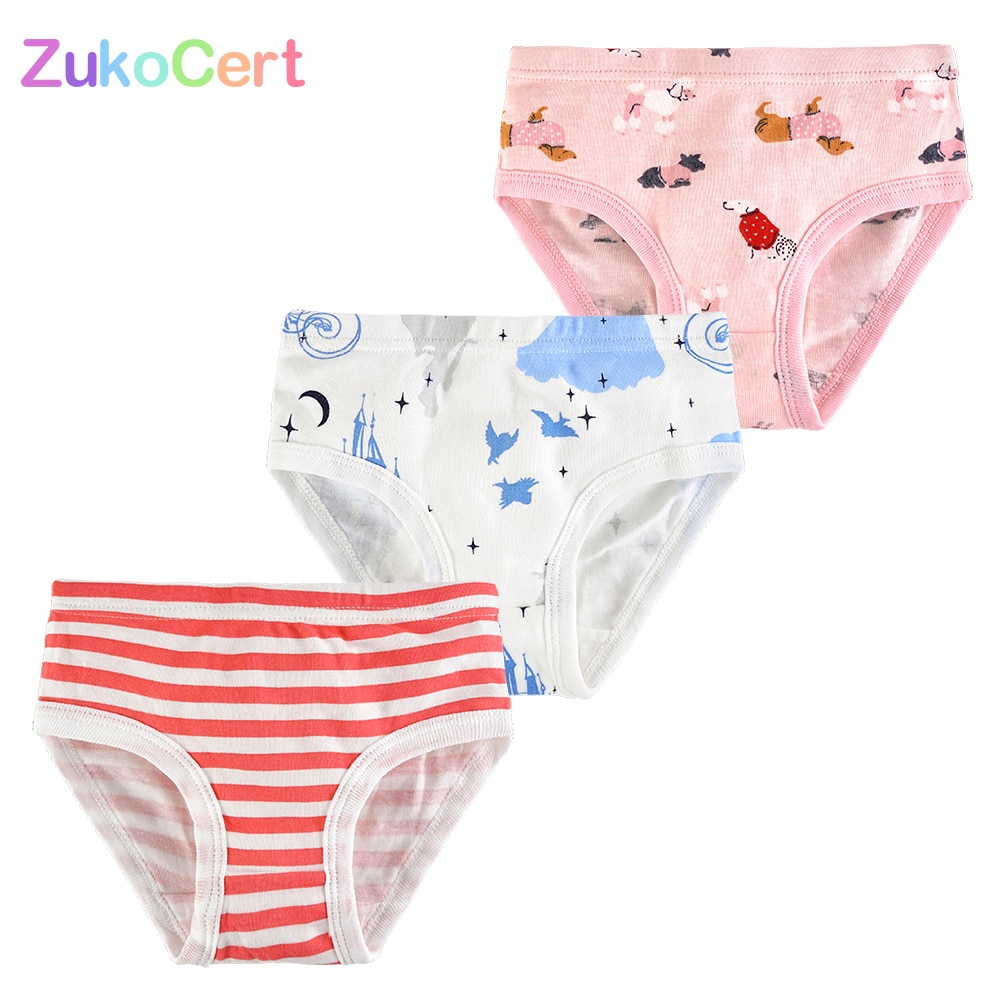 3 Pcs/Lot Cotton Young Girl Underwear For Teenage Girls Briefs Kids Girls Shorts Panties Underpants 3-10T