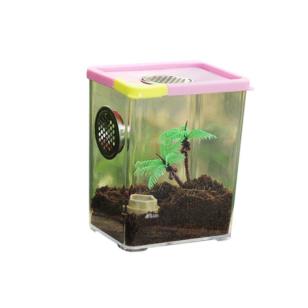 Akryl krybdyr fodring kasse gennemsigtig insekt boks bede firben krybdyr hjem insekt bur krybdyr terrarium edderkop avl kasse: 10.5 x 8 x 13cm