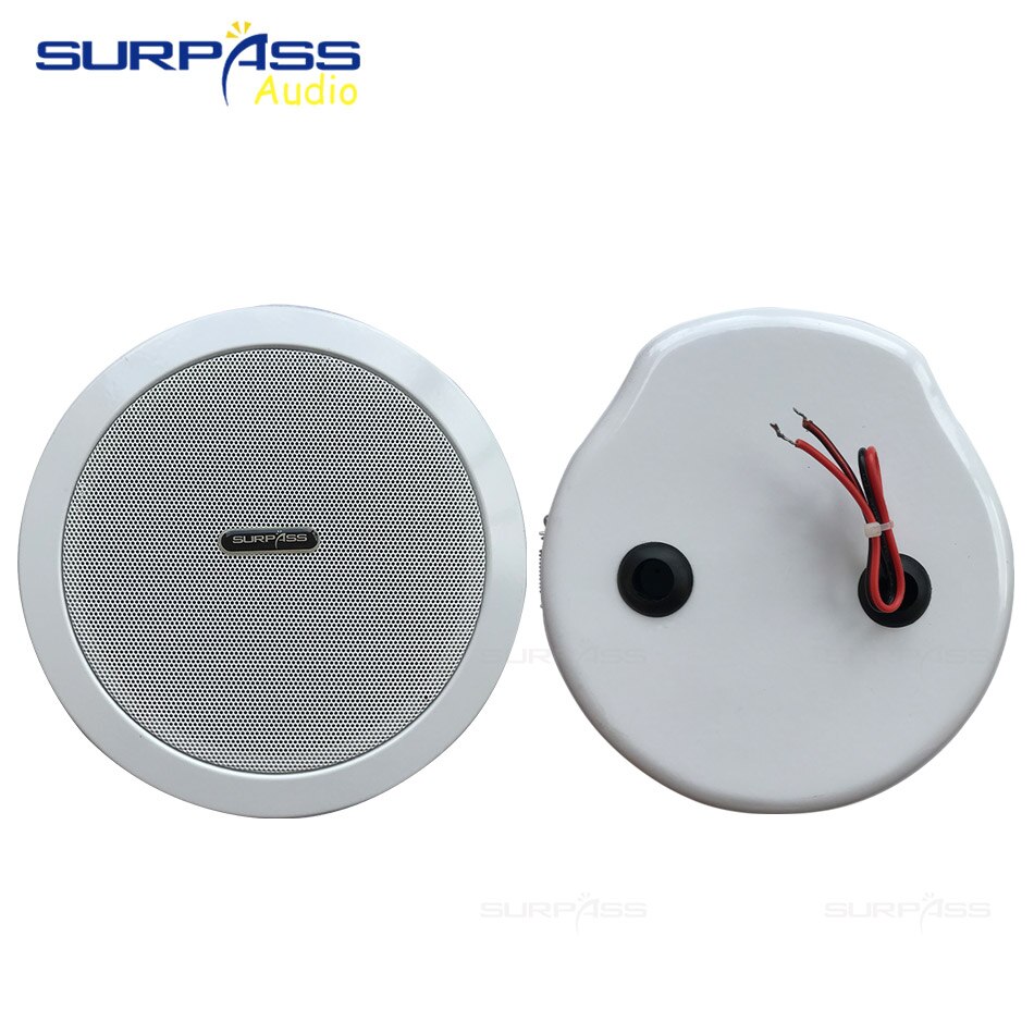 6.5 Inch Coxial Plafond Luidspreker Met Back Cover Voor Home Achtergrond Muziek Systeem Pa-systeem Dak Subwoofer Hoorn