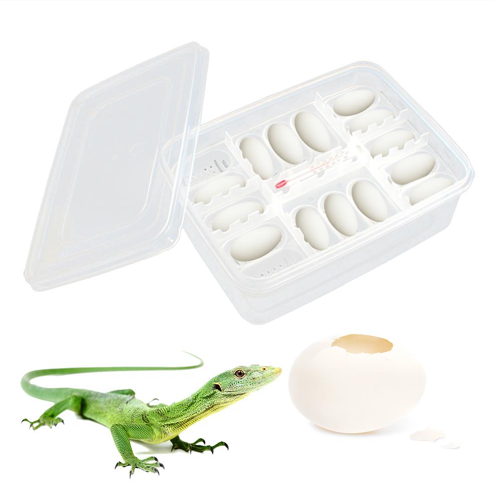 16 Grids Egg Hatching Guard Palace Snake Lizard Reptiles Hatching Egg Tray Reptile Hatching Breeding Box Incubator