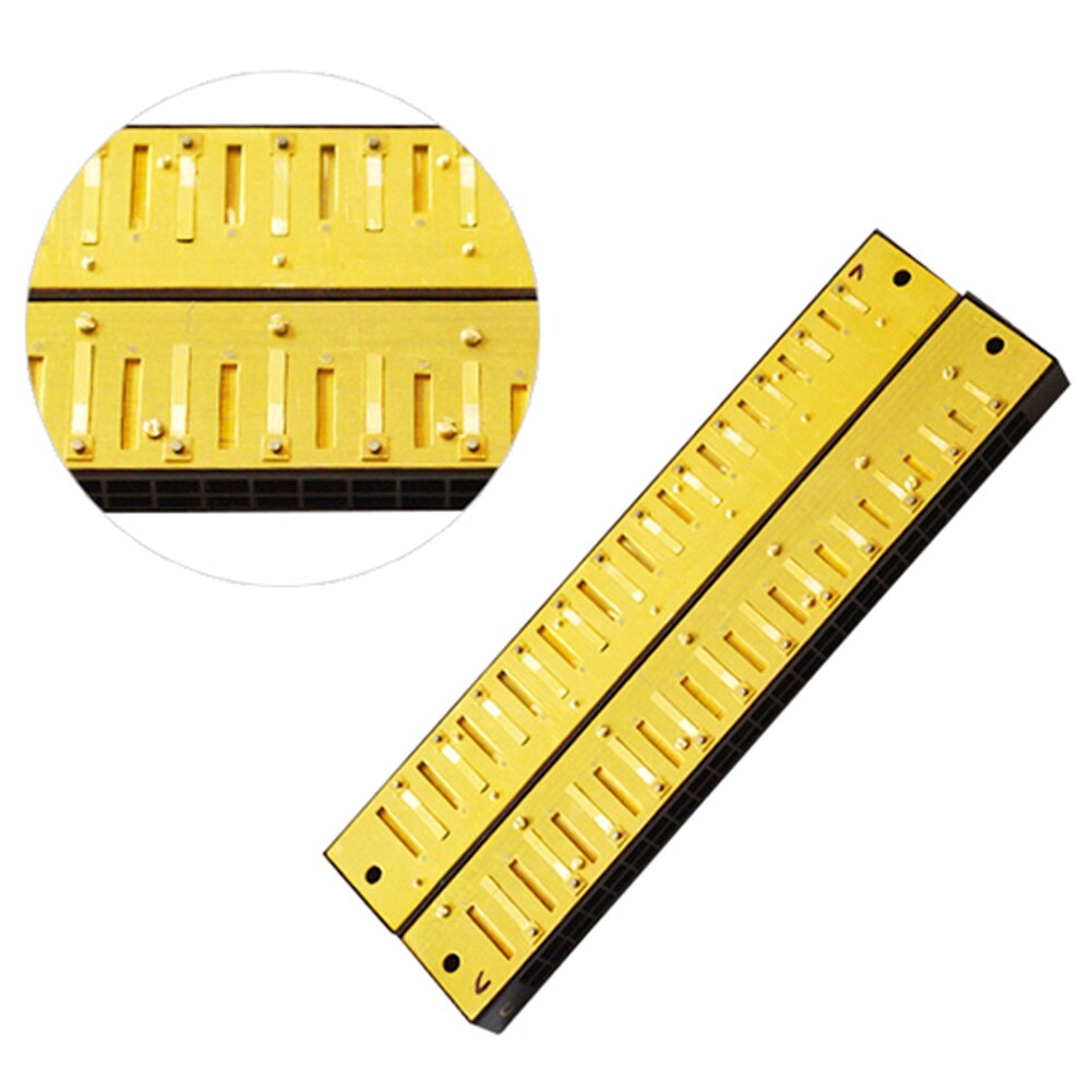 2 in 1 Harmonica with C G Key 24 Double Holes 48 Reeds Wind Instrument with Padded Box Cleaning Cloth