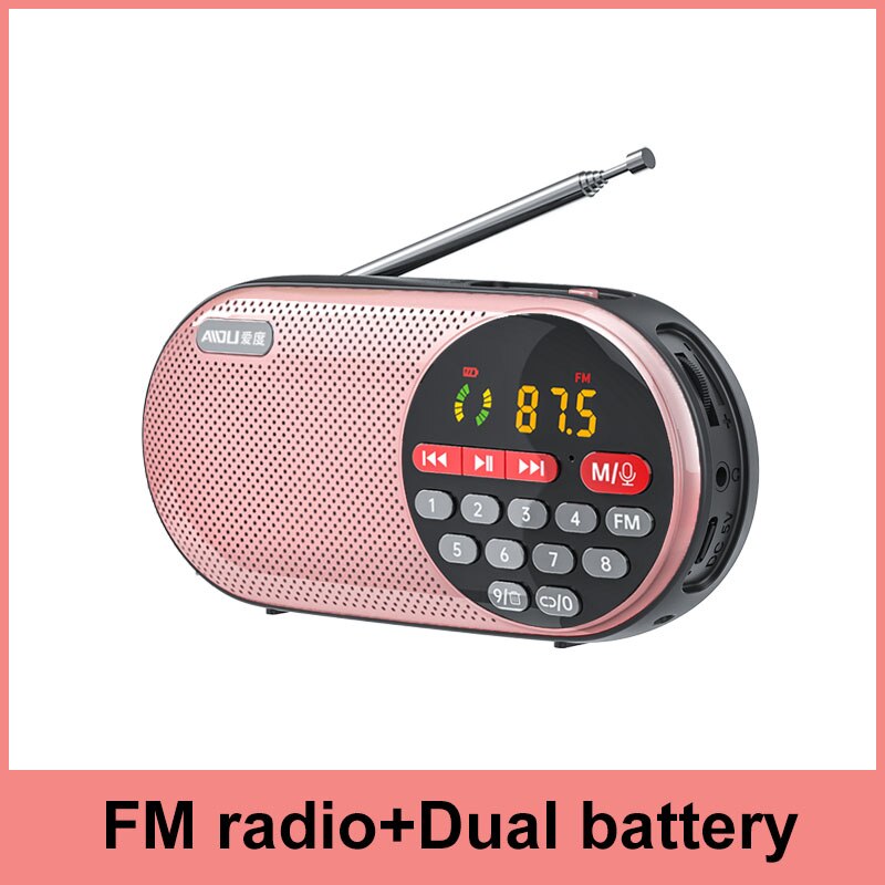 4000mAH Rechargeable FM Radio Portable Speaker Music Player with LED Display Support TF Card U Disk 3.5mm Headphone Jack: Rosegold No record