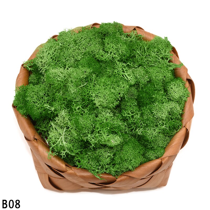 40g kunstige planter evigt liv mos mini have mikro landskab tilbehør boligindretning væg diy blomster materiale: B08
