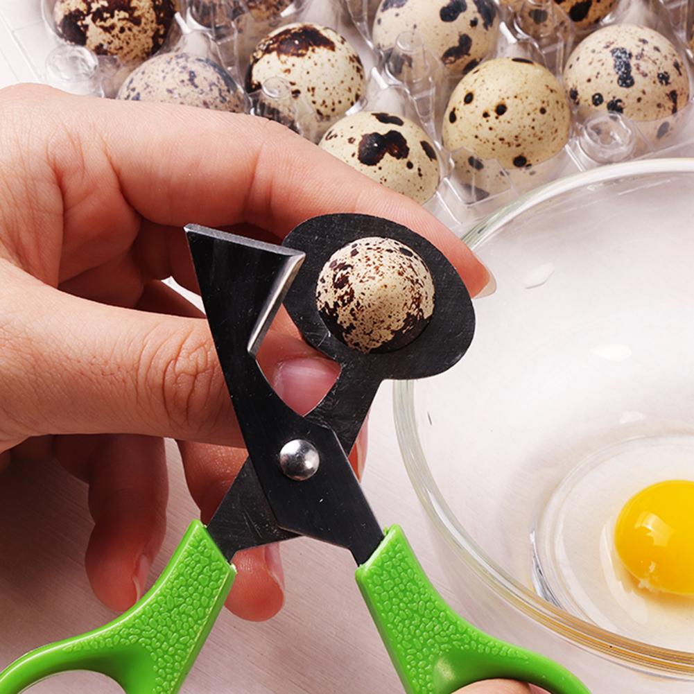 Rustfritt stål vaktel fugl egg skall åpner saks kutter klippemaskin kjøkken verktøy holdbart kjøkken rustbestandig vaktel egg åpner