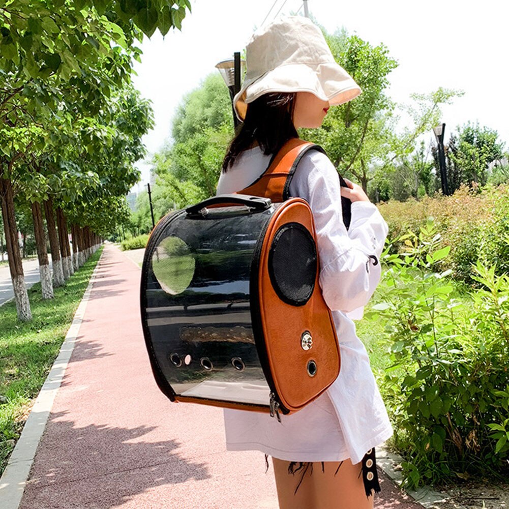 Gennemsigtig kæledyrs rygsæk dobbeltåbnet lynlås med fuglebur stilfuld fugleholder med udluftningshuller til udendørs gåtur rundt