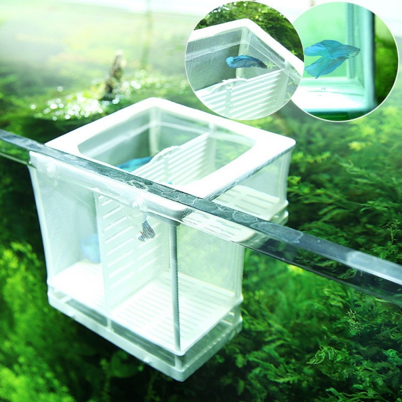 Aquarium Fish Tank Breeding Breeder Isolation Box Aquarium Hatchery Grow Seedlings Reproduction Holder Useful