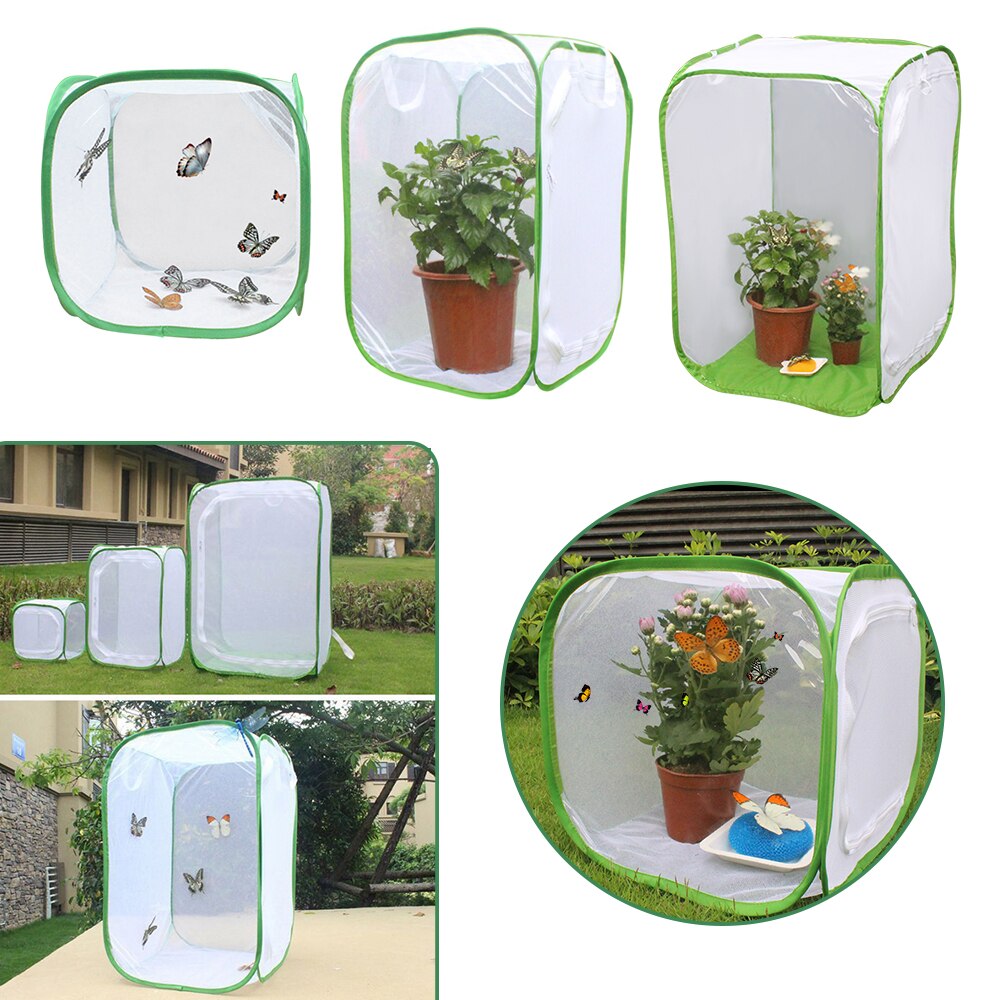 Butterfly growth observation Cage Box Praying Mantis Stick Insect Butterfly Cage Housing Enclosure Breeding Cages Net Cloth