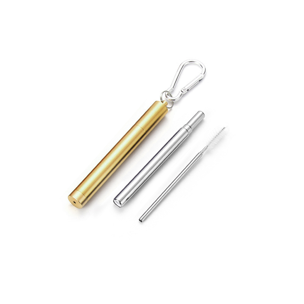 Roestvrij Staal Vouwen Stro Telescopische Rietje Pen Shaped Case Carabiner Herbruikbare Metalen Stro Reizen Picknick Drinkware: Gold