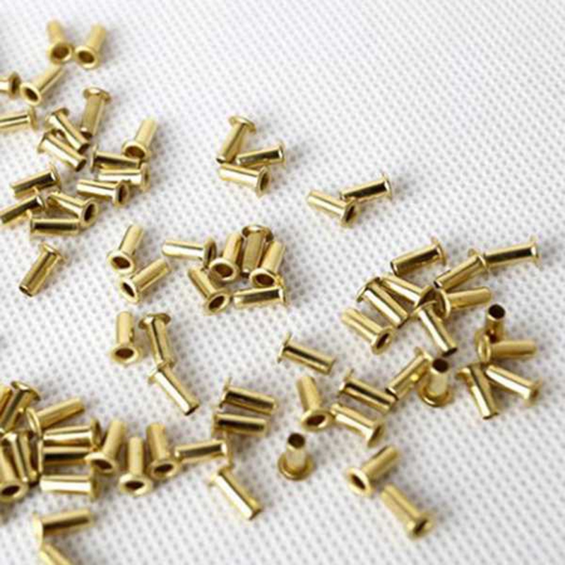 20 Pcs Lyre Harp Tuning Pin Nails with 20 Pcs Rivets Set for Lyre Harp Small Harp Musical Stringed Instrument