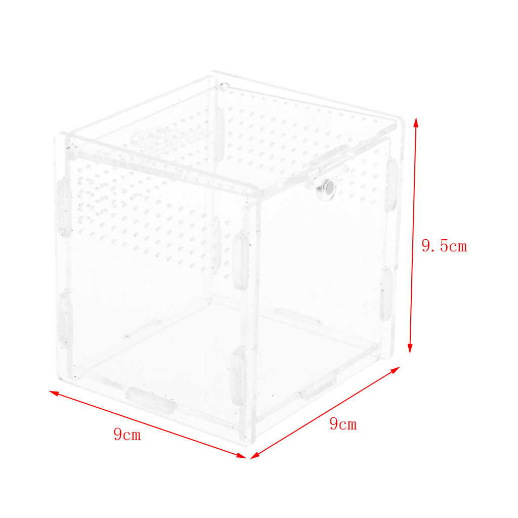 Acrylic Terrarium Vivarium With Water Bowl Artificial Plant For Gecko Lizard Snake
