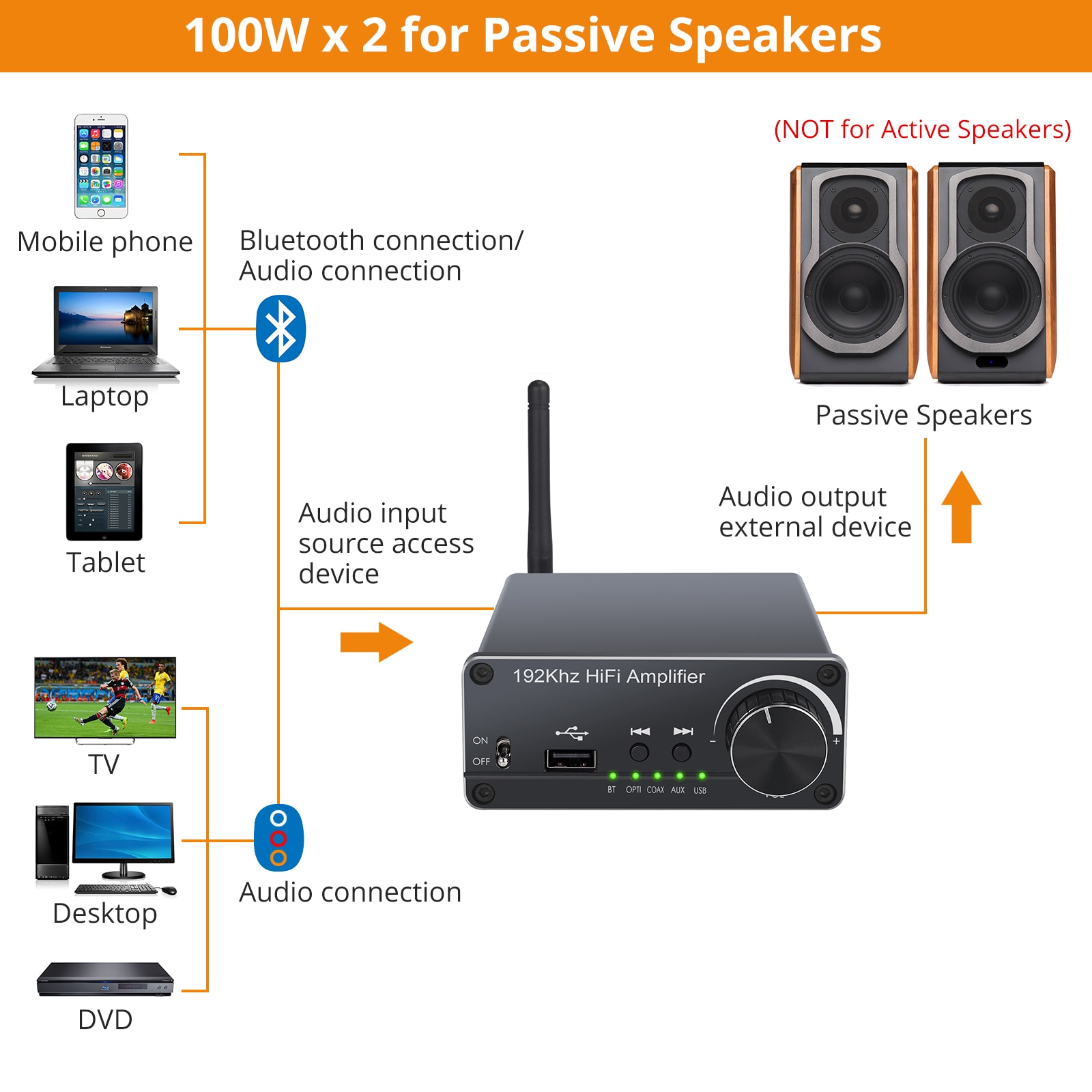 Bluetooth-Compatible HiFi Digital Sound Power Amplifier TPA3116D2 Stereo Audio Amp DAC Optical Coaxial USB to Analog 100W + 100W