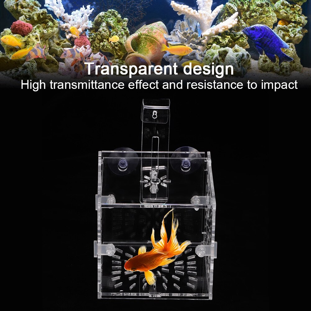 Caixa de isolamento transparente acrílica para tanques de peixes aquário peixe fritar incubação reprodução única e grade dupla