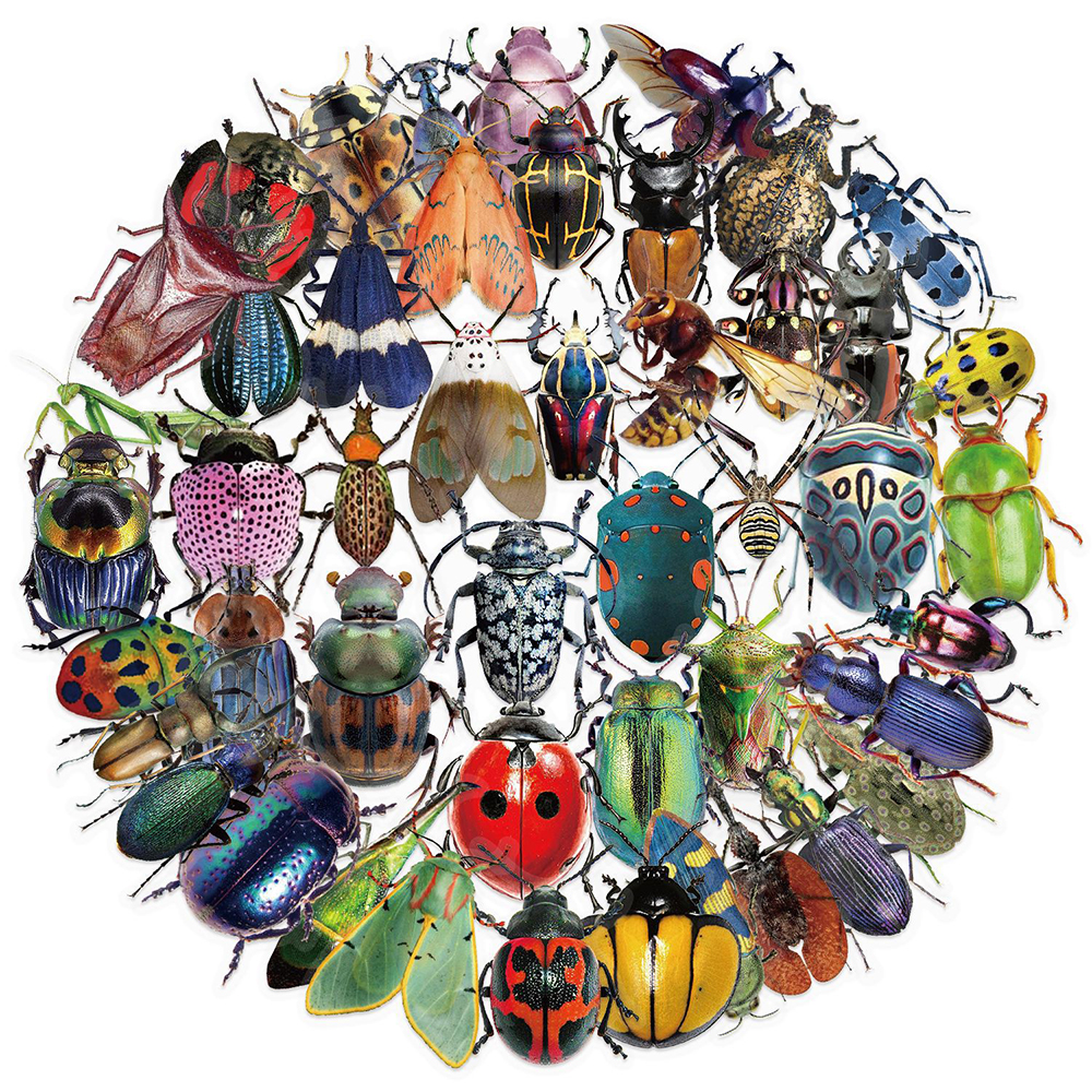 10/30/50pcs Cartoon Transparent Realistic Insect Beetle Stickers DIY Laptop Fridge Suitcase Cool Scrapbooking Decoration Sticker