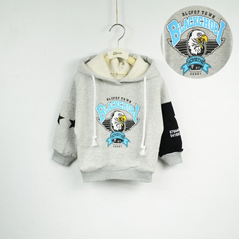 Pull à capuche à manches longues pour garçon, motif aigle, en cachemire, haut pour enfant: GRIS / 100CM
