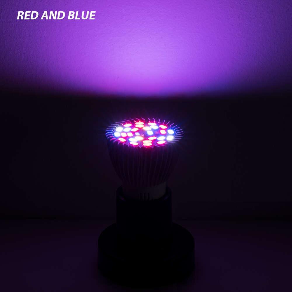 Led kweeklamp  e14 led kweektent lamp 18w 28w full spectrum plant bombilla led  e27 kweekbox fytolamp 220v groeilamp 5730: 18 leds 18w / E14