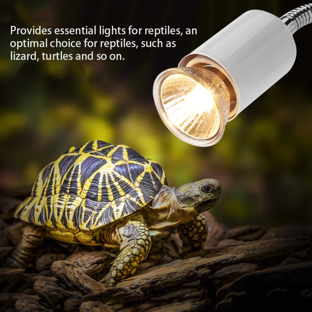 25 w/50 w/75 w 220-240 v Verwarming Licht Aquarium Warmte Lamp Accessoire voor reptiel Hagedis Turtles Verwarming milieuvriendelijke Licht