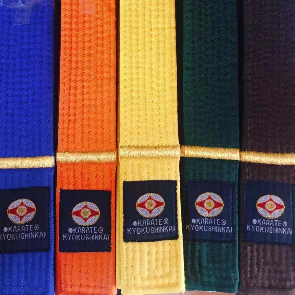 Professionele Kyokushin Kai Karate Riemen Iko Borduren Riemen Oranje Kleur Karate Riem 1 dan Brown Taekwondo Wkf Riemen
