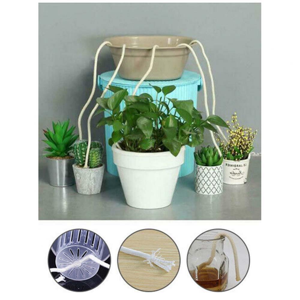 Corda per irrigazione automatica idroponica Bonsai per piante da 50cm