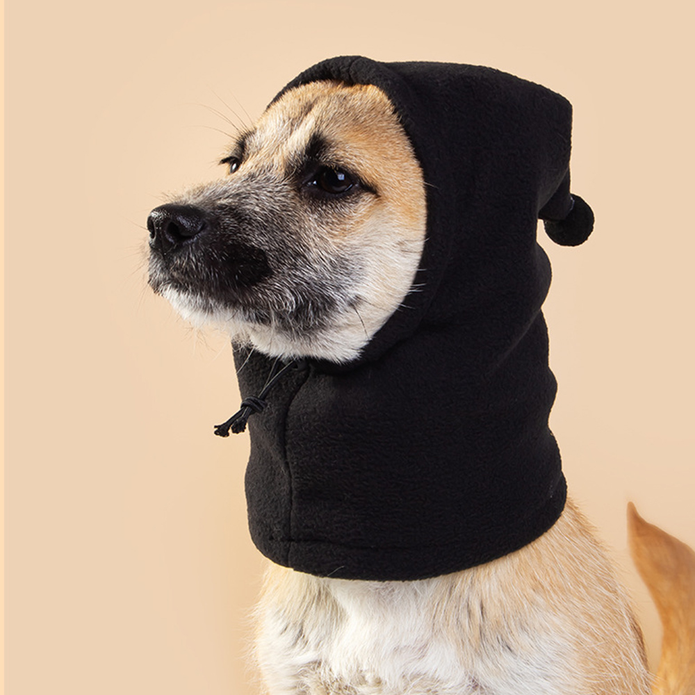 Chapeau d'hiver pour chien, couleur unie, bouledogue français, , cordon réglable, couvre-chef pour animaux de compagnie, casquette polaire douce pour chiot