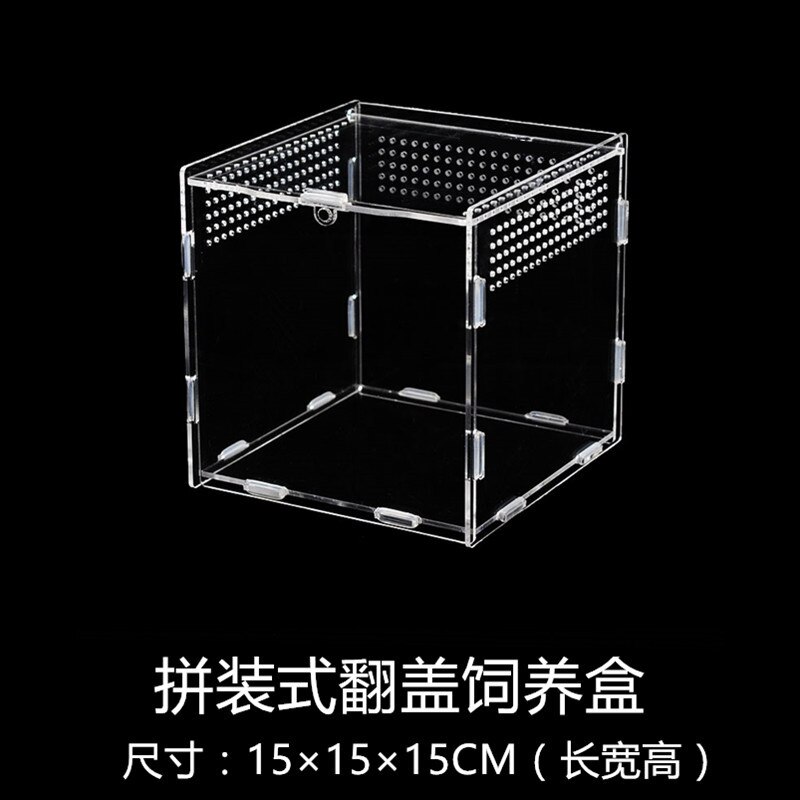 1PCS Crawler Box Acrylic Spider Ant Lizard Horned Frog Tortoise Gecko Feeding Box Reptile
