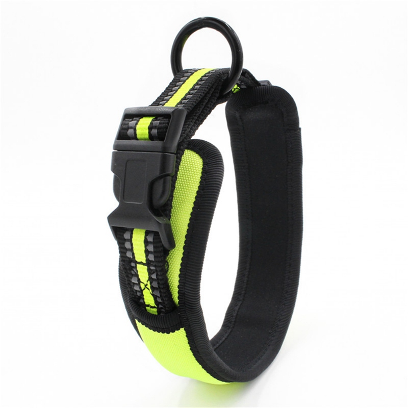 Huisdier Halsband LED Light Night Veiligheid Dierbenodigdheden Insert Gesp Honden Reflecterende Lint Kraag Puppy Ketting