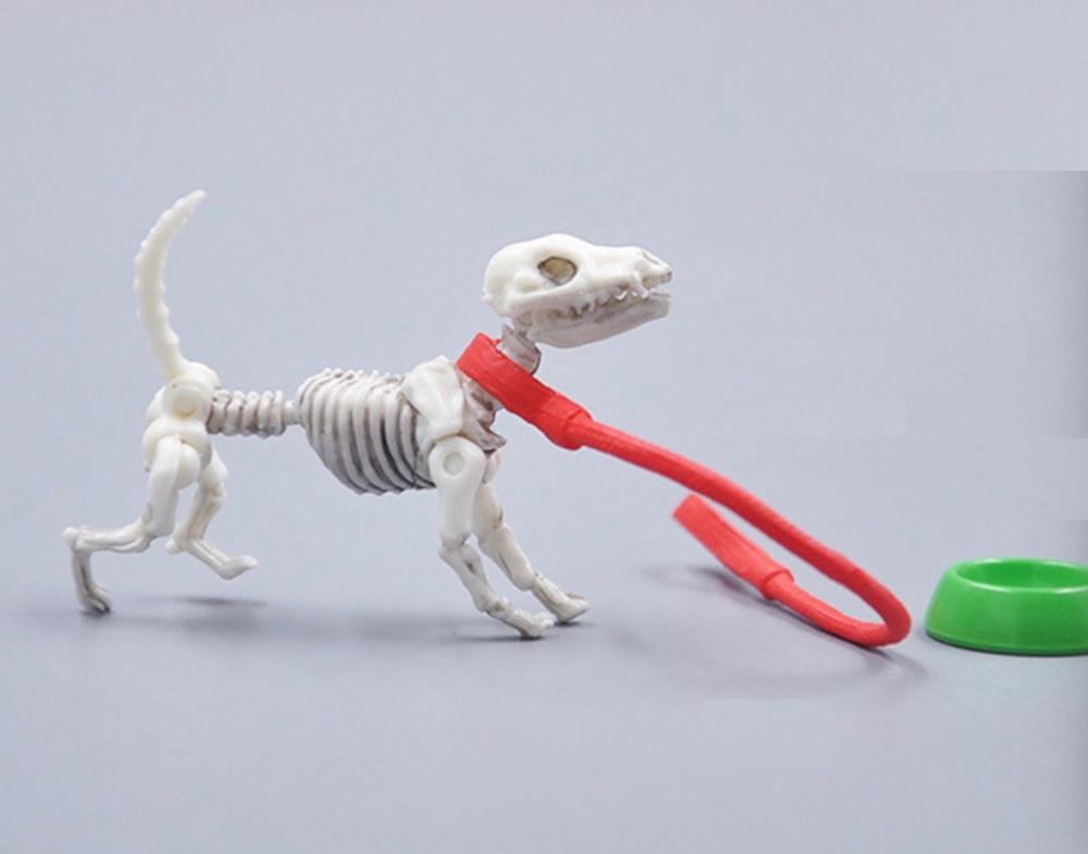 Sig. osso Innovativo Giocattolo per Adulti Bambini Regali di Halloween giocattolo Della Novità Scheletro Famiglia: cane