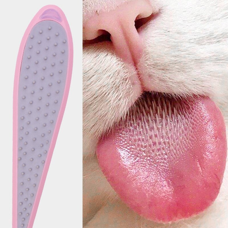 Peigne de Massage de langue de chat, peigne de langue de chat avec l'herbe à chat, outil d'épilation de toilettage pour animaux de compagnie pour masser et enlever les cheveux lâches