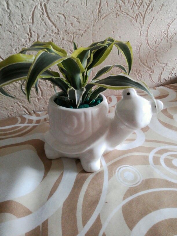 Maceta de cerámica Kawaii Pequeño animal, de porcelana blanca suculenta maceta de plantas y flores, decoración para el hogar, florero de jardín, miniadornos de escritorio: Tortoise