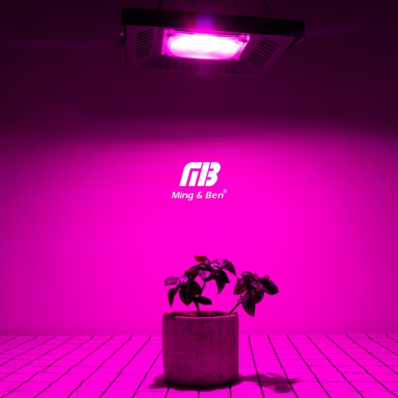 Led fuld spektrum vækstlampe 380-780nm 30w 50w 80w 100w 220v udendørs phyto lys vækst projektør til plante drivhus såning